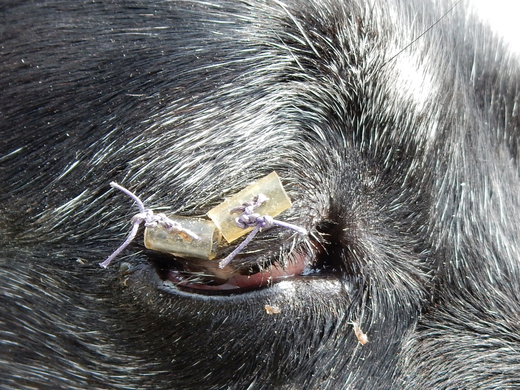 DSCN3260.jpg