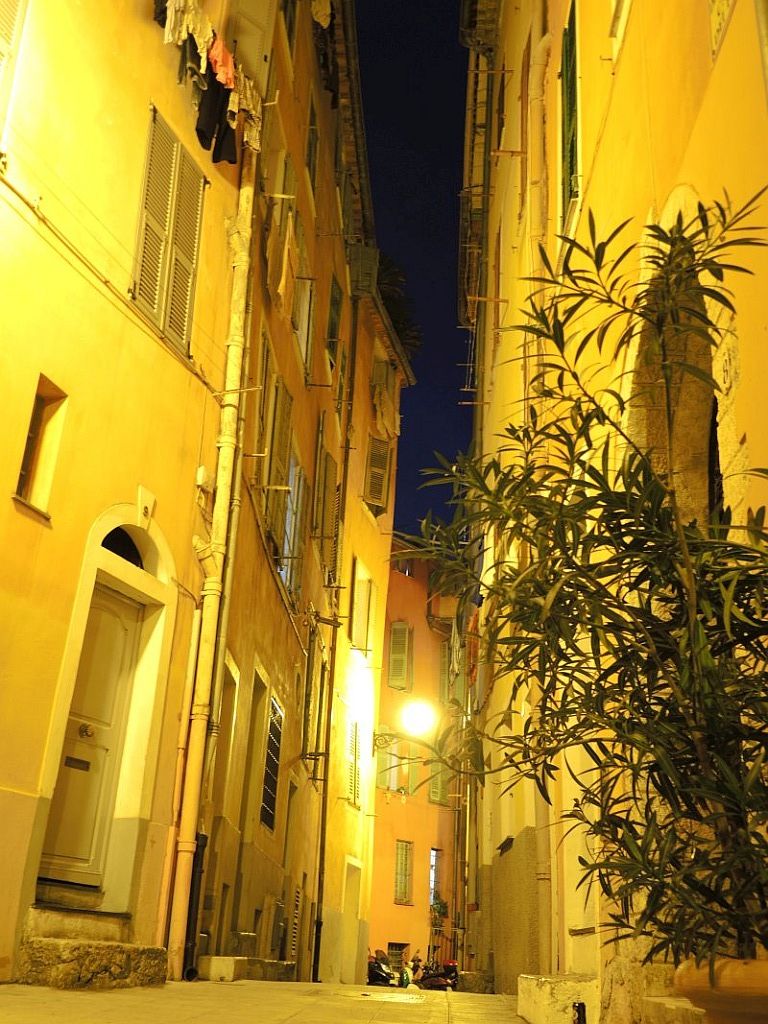 DSCN3431