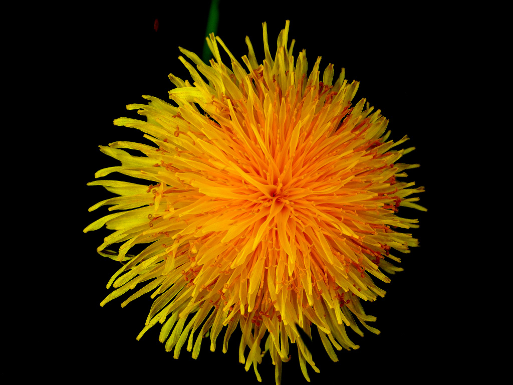 DSCN3899
