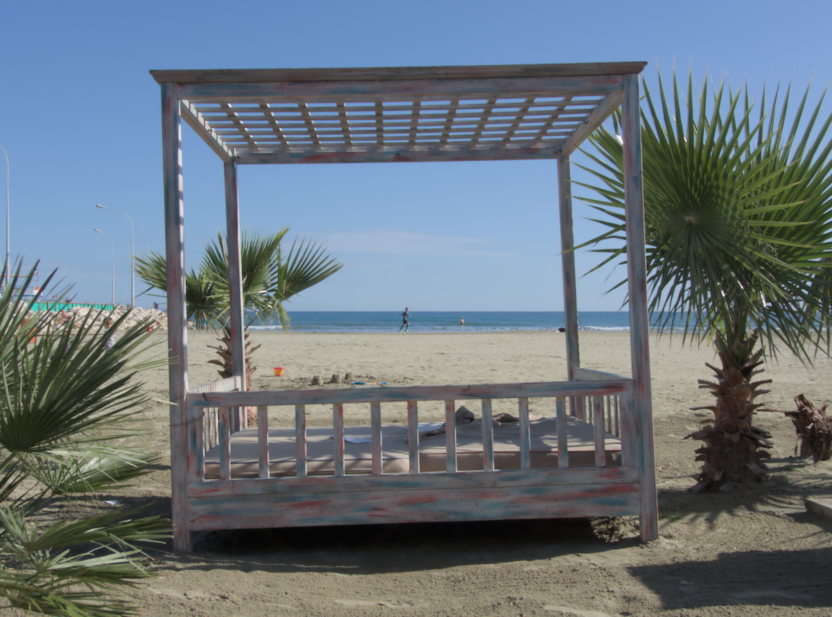 DSCN4355.jpg