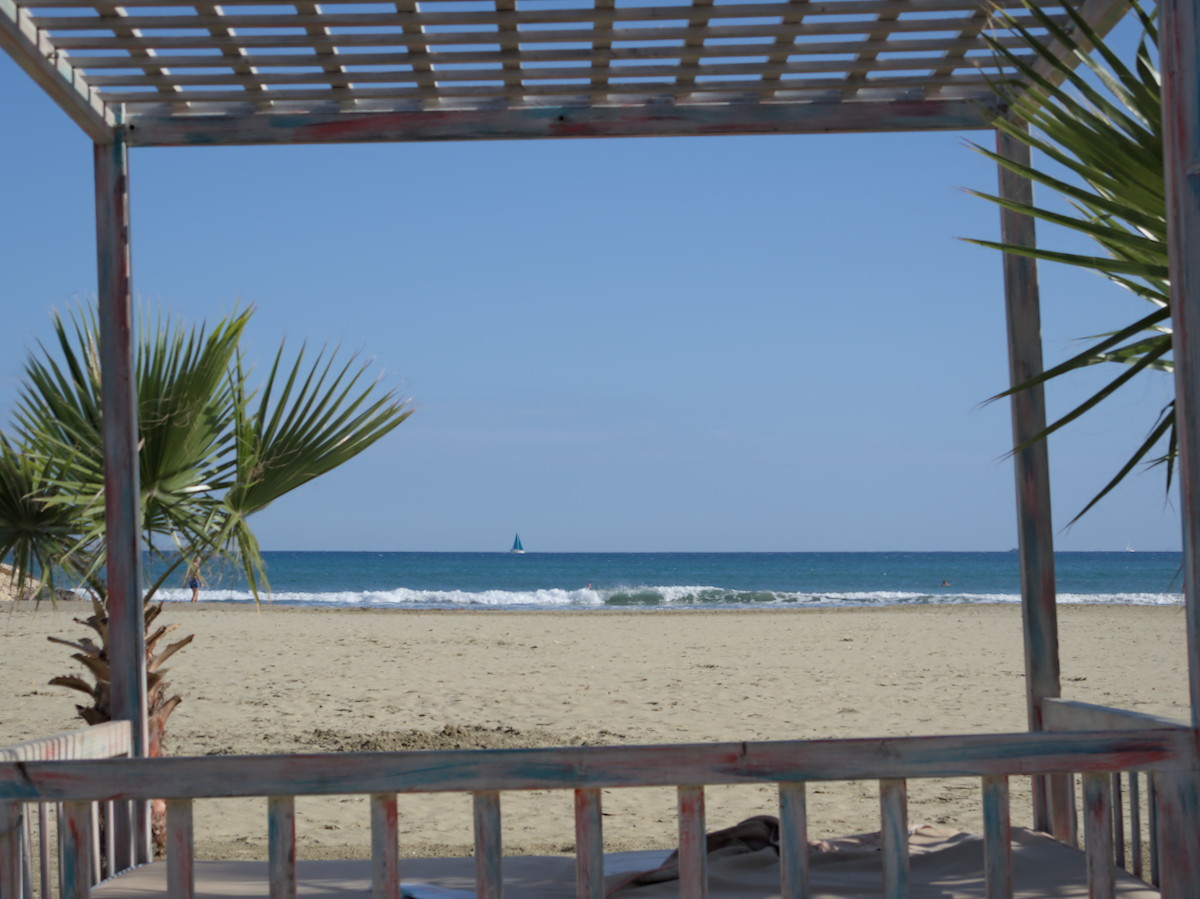 DSCN4363.jpg