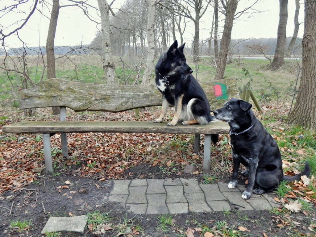 DSCN4485.jpg