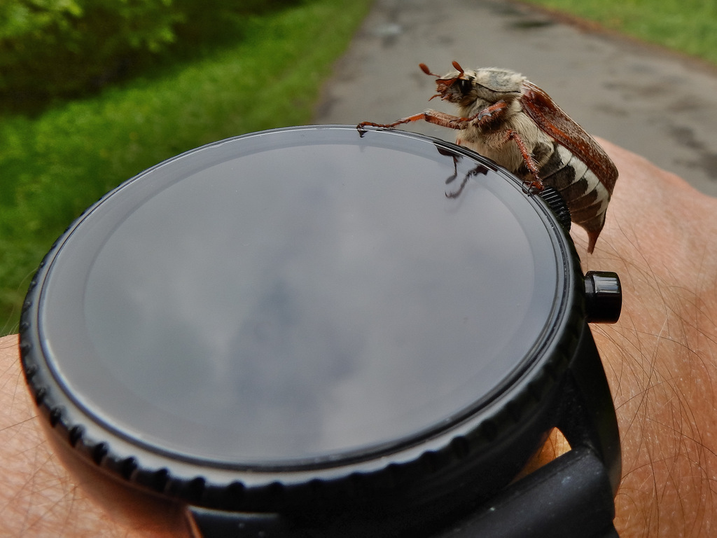 DSCN4706.jpg