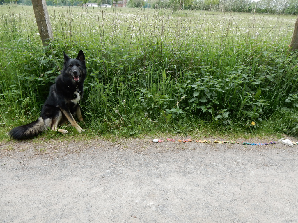 DSCN4772.jpg