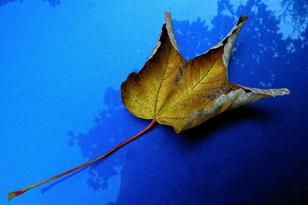 DSCN4859