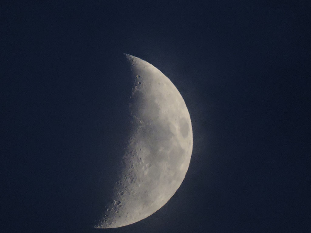 DSCN6449b