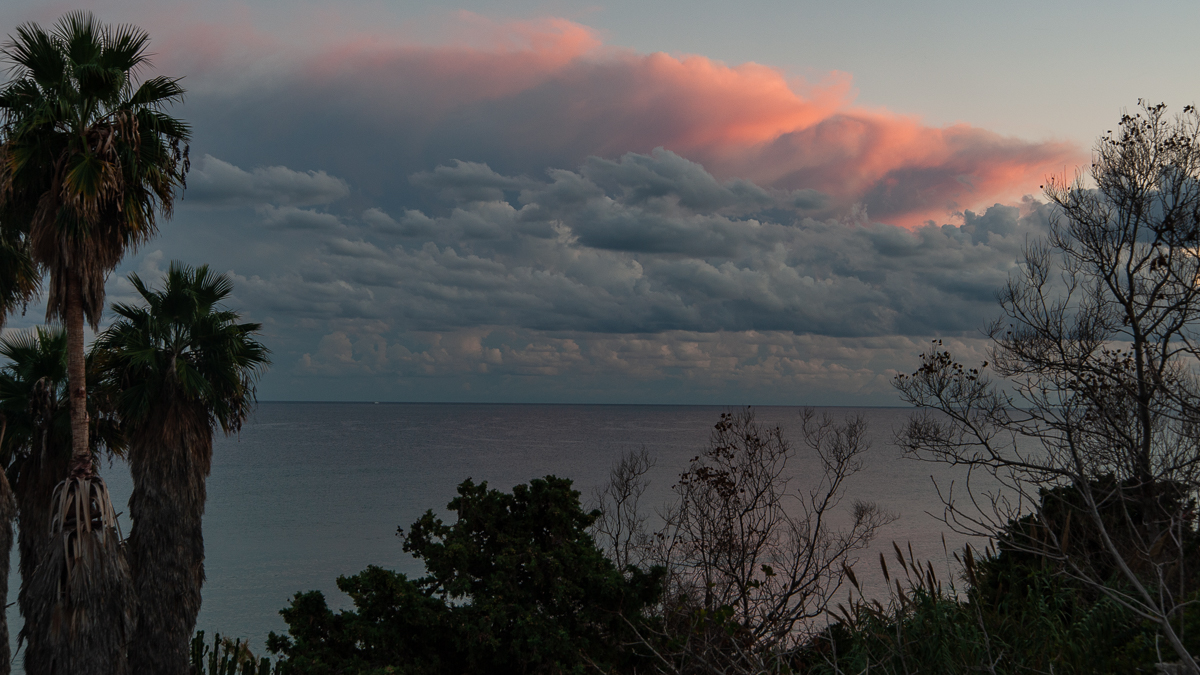 DSD_2564.jpg
