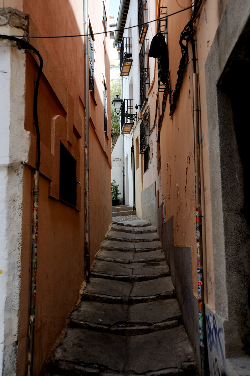 DSD_8689.jpg