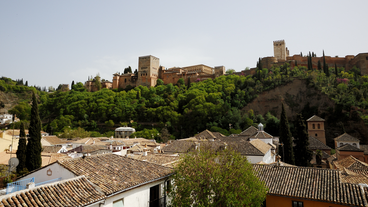 DSD_8713.jpg