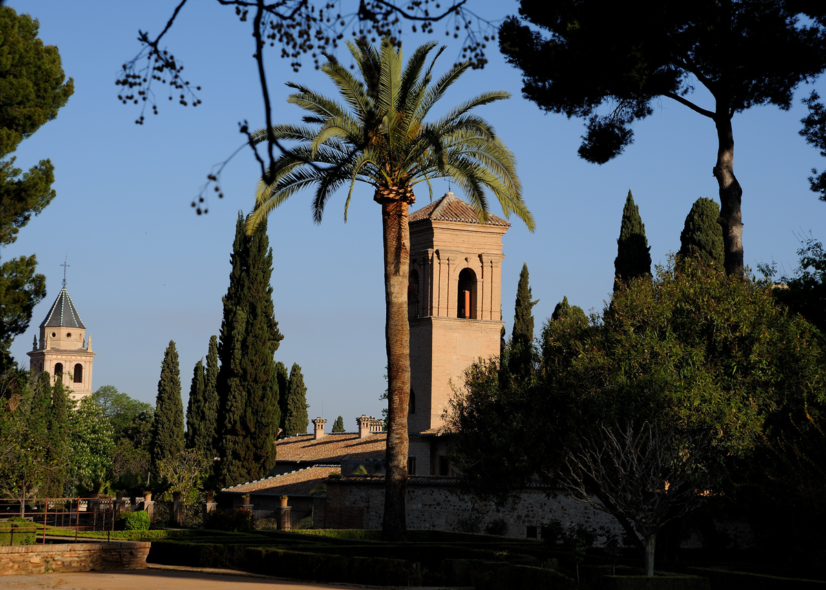 DSD_8770.jpg