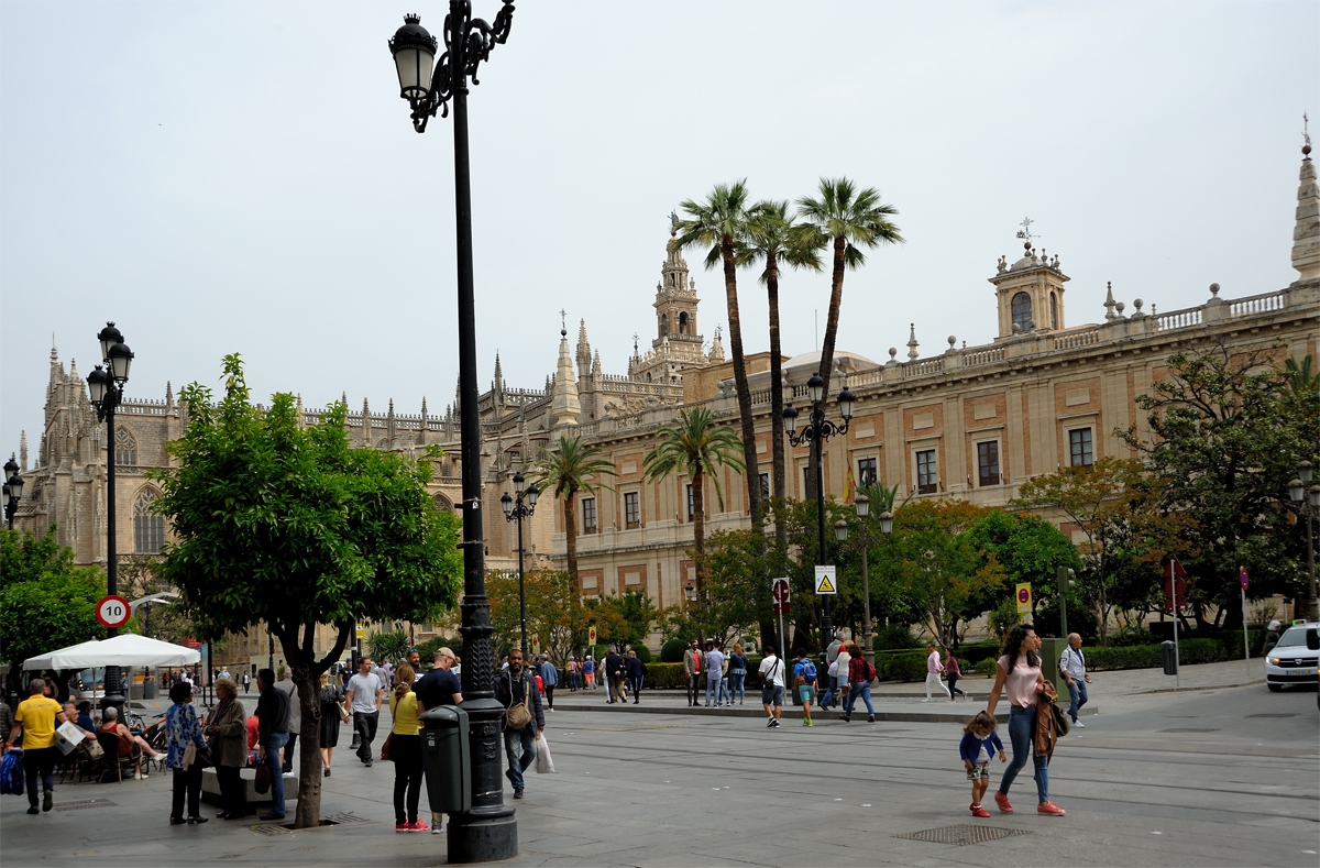 DSD_9046.jpg