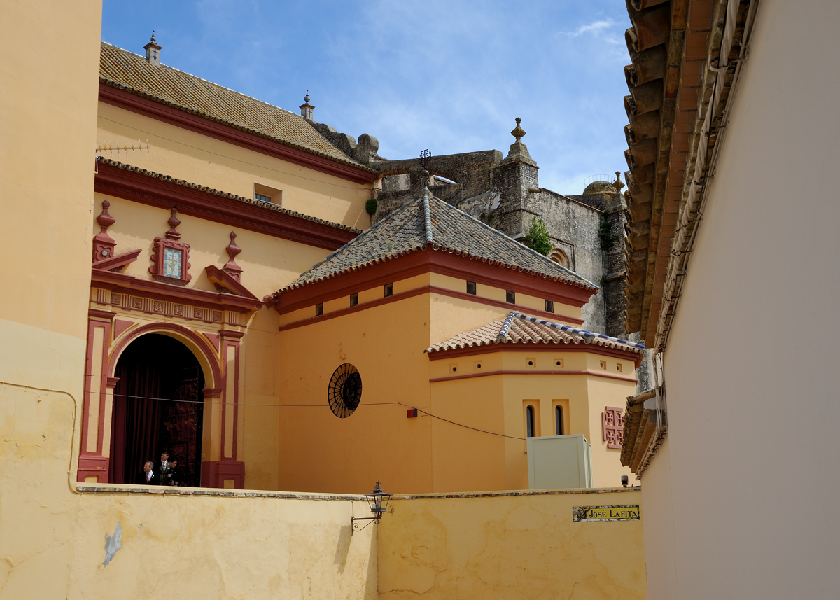 DSD_9264.jpg