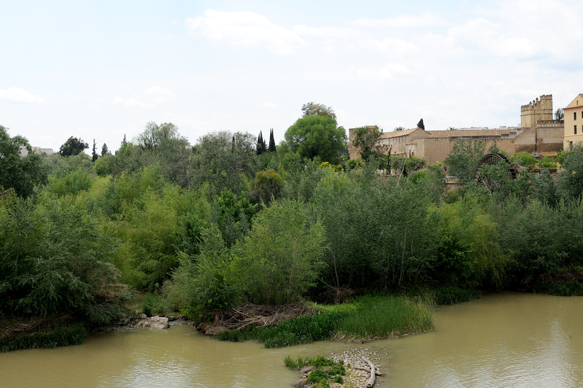 DSD_9901.jpg
