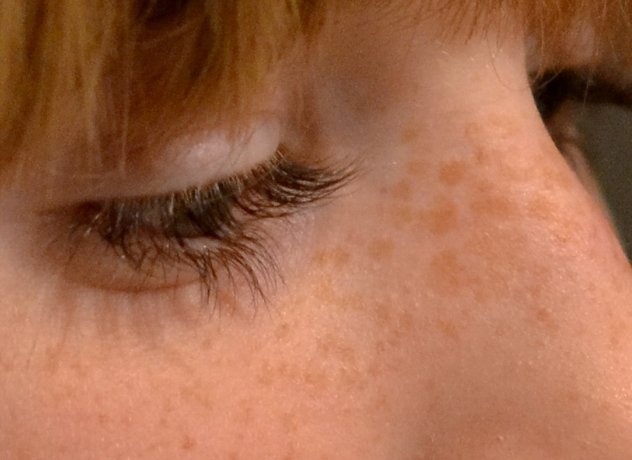 DSE 9689 crop