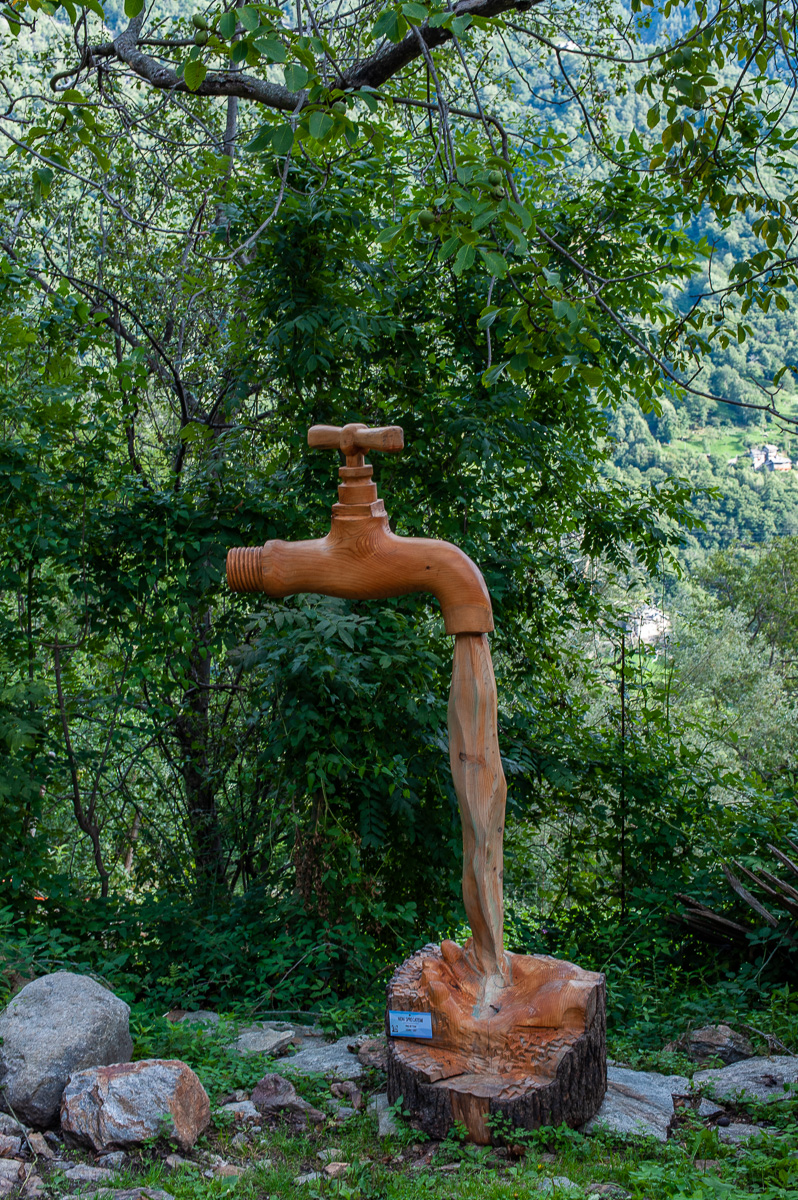 DSE_0458.jpg