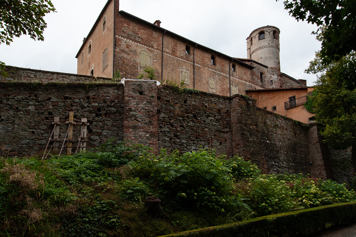 DSE_0655.jpg