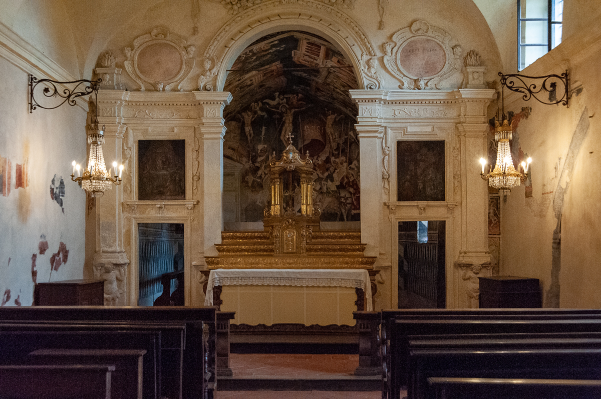 DSE_0686.jpg
