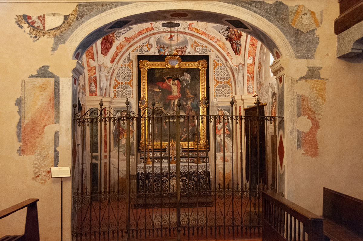 DSE_0689.jpg
