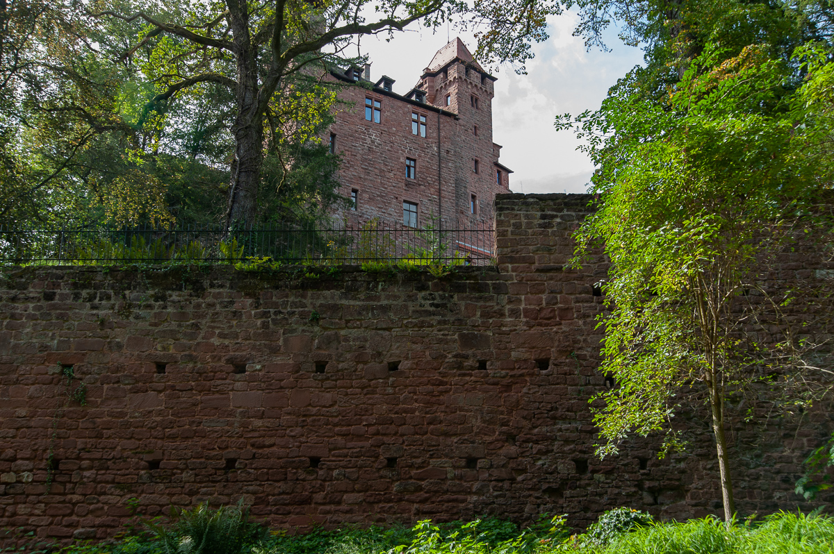 DSE_3819.jpg