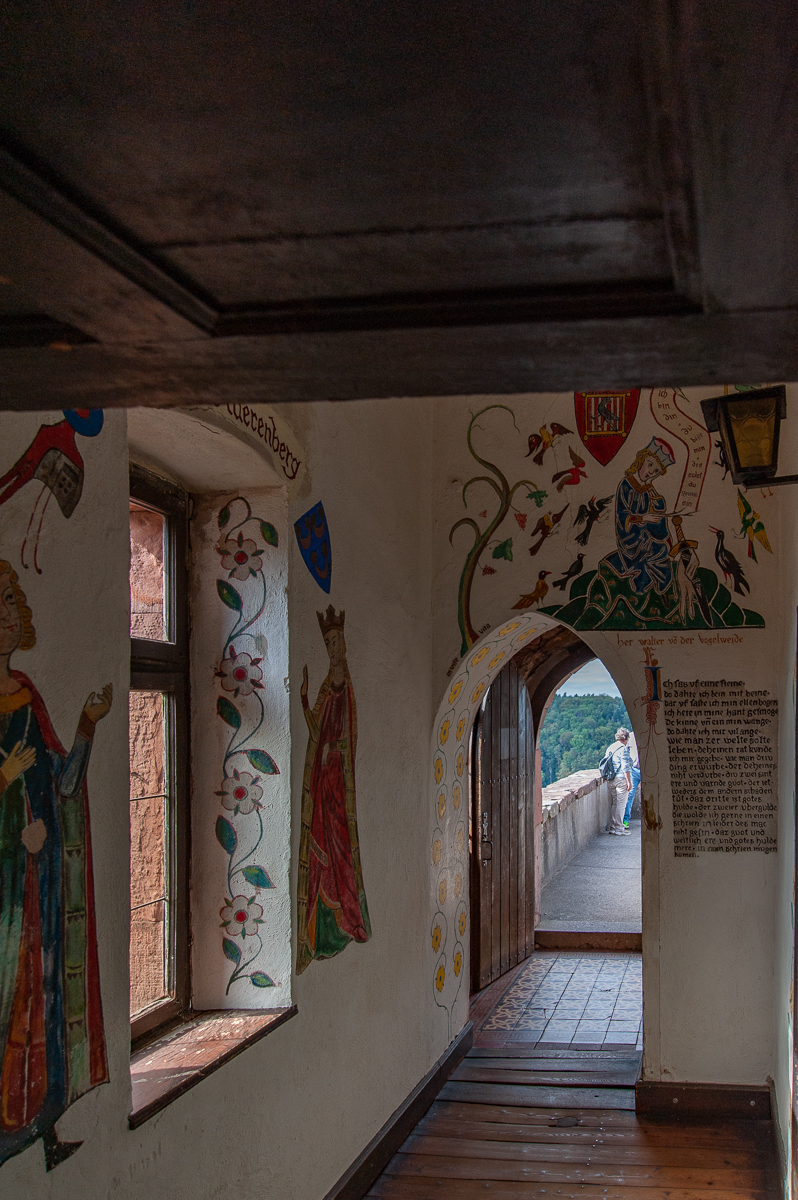 DSE_3855.jpg