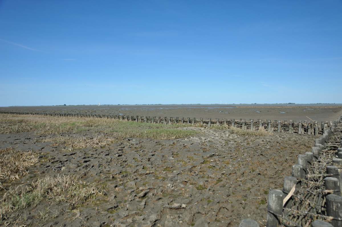 DSE_6466.JPG
