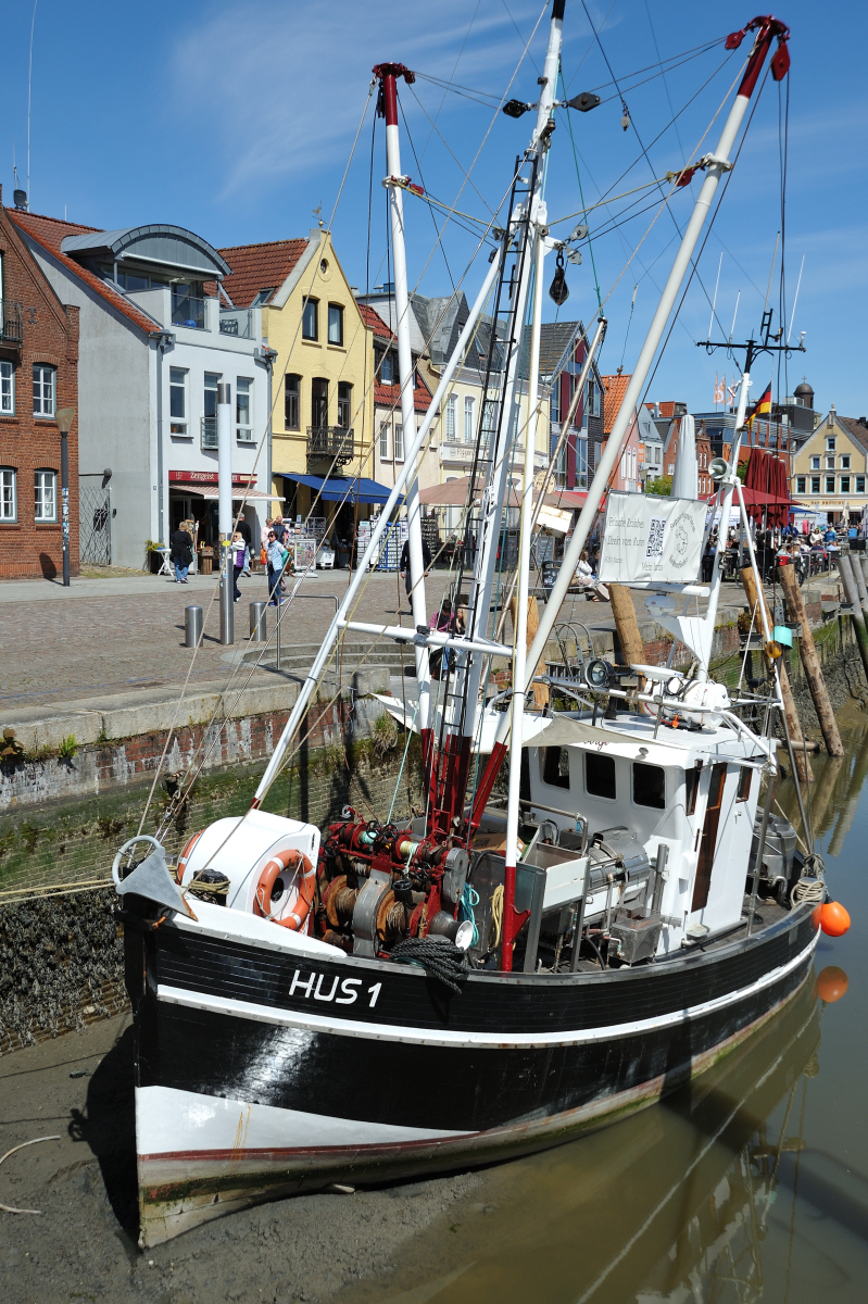 DSE_6476.JPG