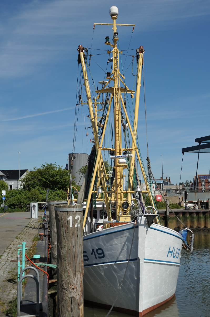 DSE_6481.JPG