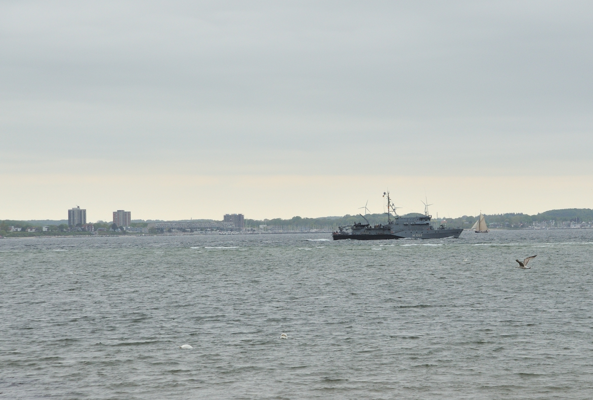 DSE_6552.JPG