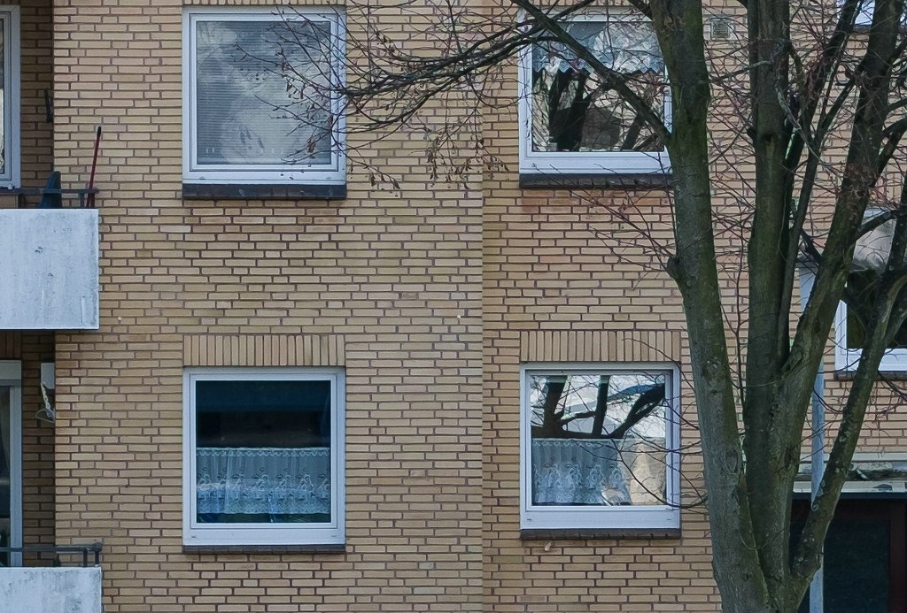 DSF0241 100