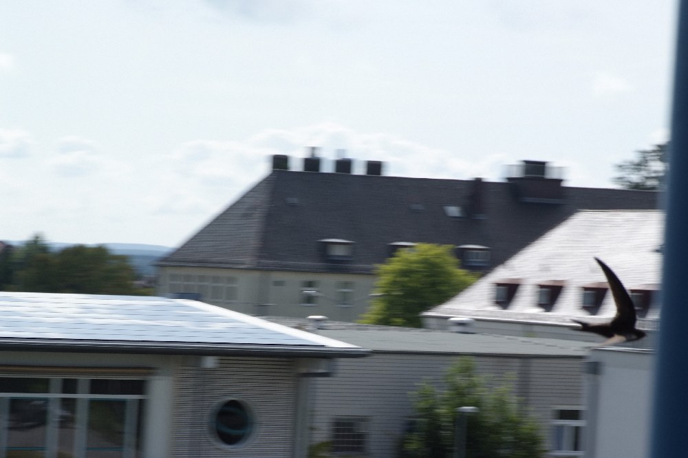 DSF1843
http://www.nikon-fotografie.de/vbulletin/showthread.php?t=100183