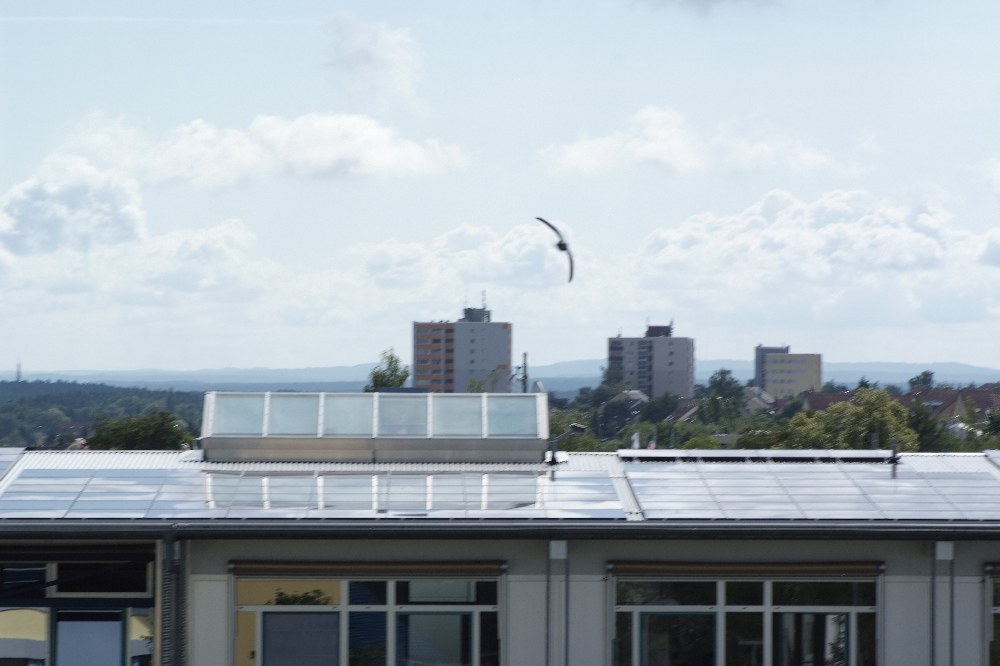 DSF1848
http://www.nikon-fotografie.de/vbulletin/showthread.php?t=100183
