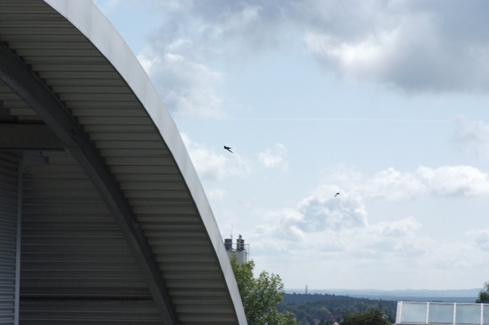 DSF1856
http://www.nikon-fotografie.de/vbulletin/showthread.php?t=100183