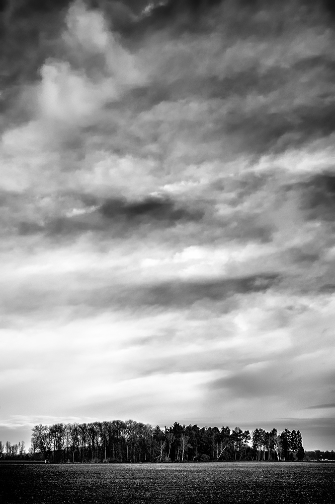 DSF3643 web