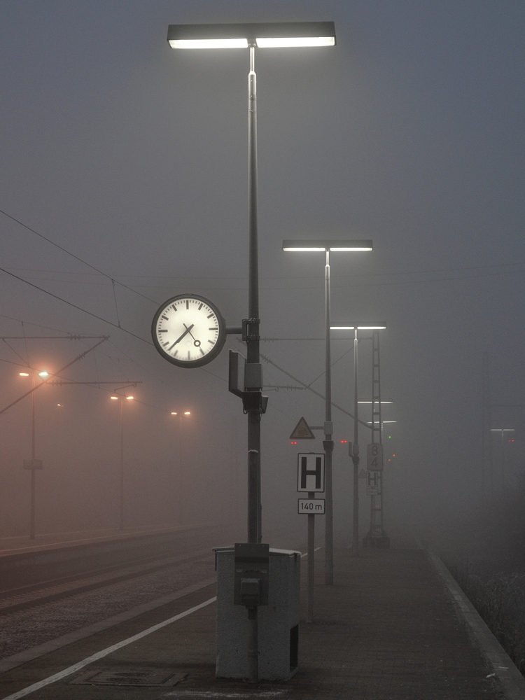 DSF_9641_nff.JPG