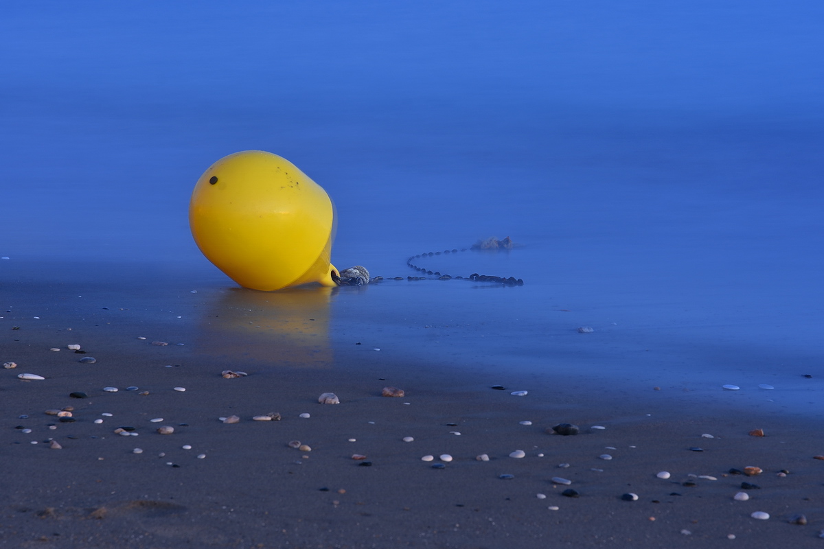 DSI_4665_1_nff.JPG