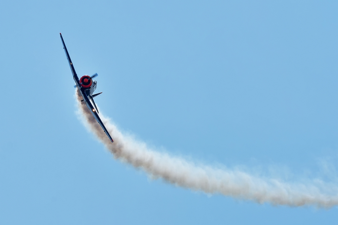 DSJ_2348_1_nff.jpg