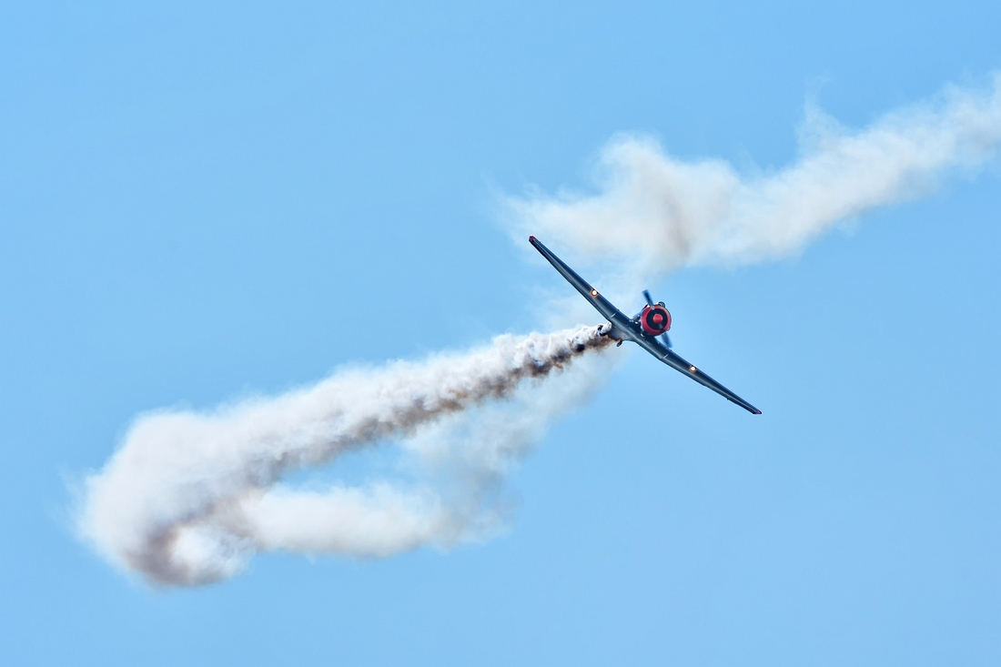 DSJ_2370_1_nff.jpg
