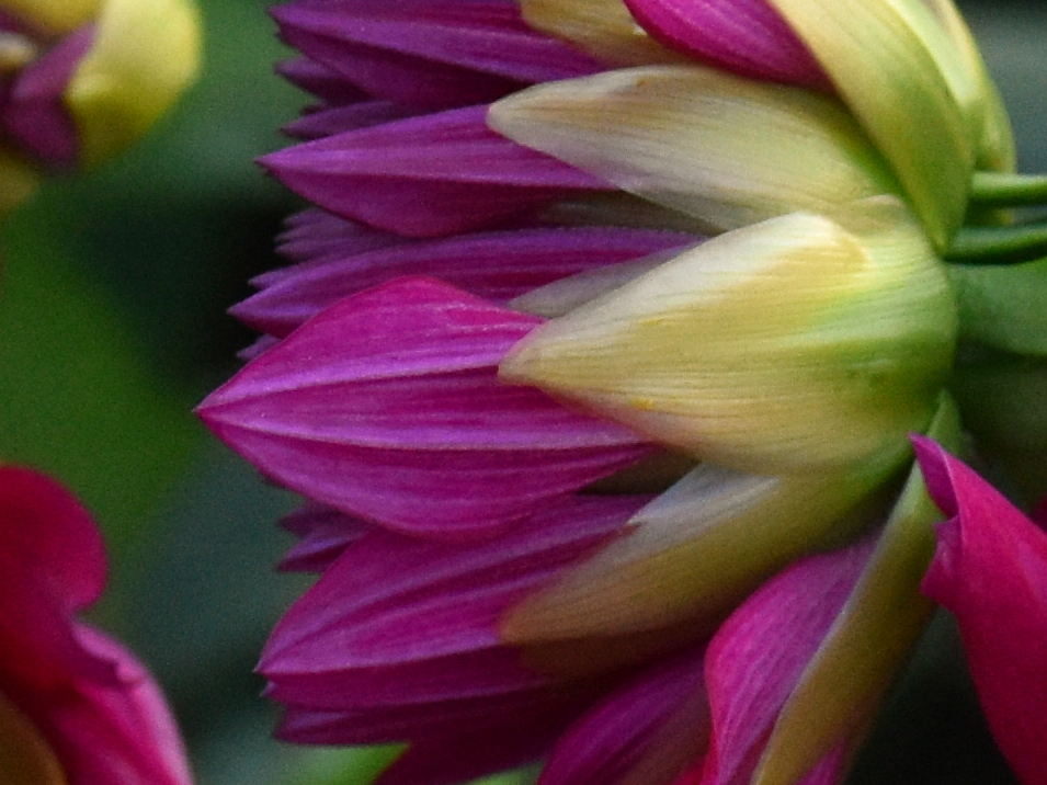 DSK_4900_a_lö.JPG