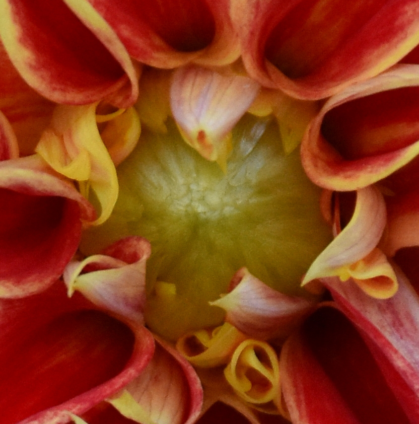 DSK_4903_a_lö.JPG