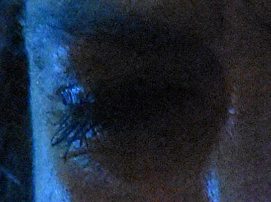 DSK_5277_a100P.JPG