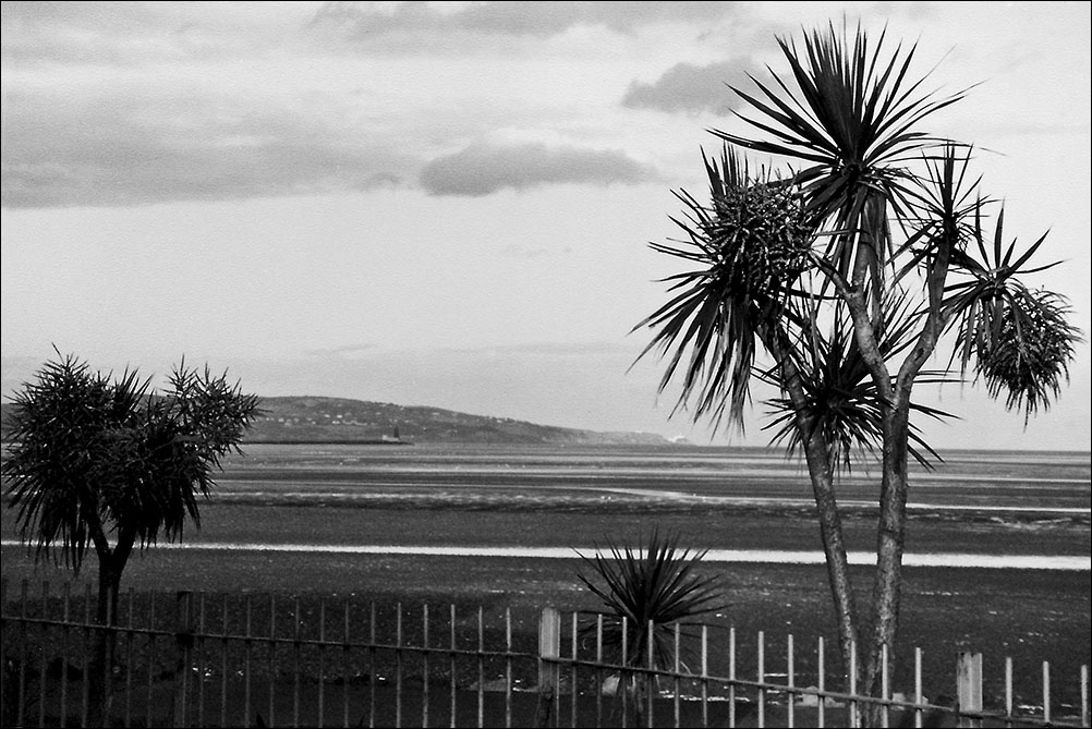 dublin bay