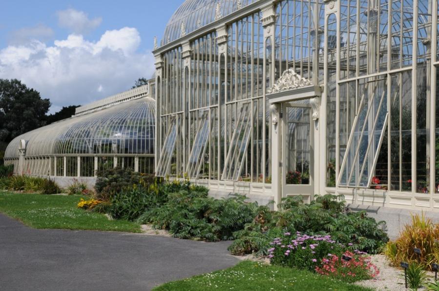 Dublin botanic garden