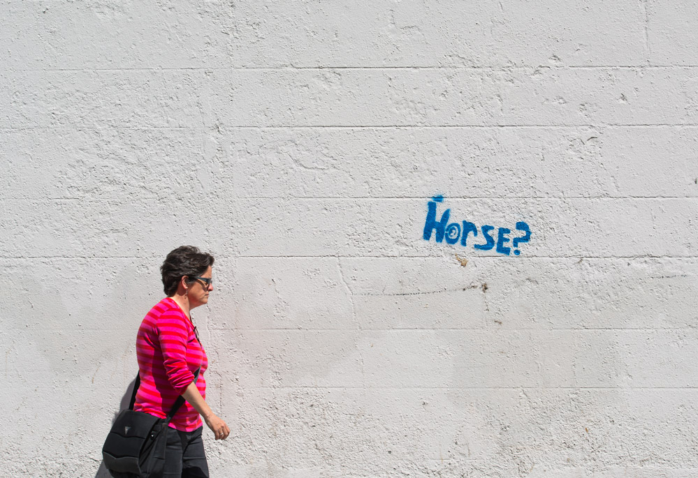 dublin
streetart
graffitti
horse