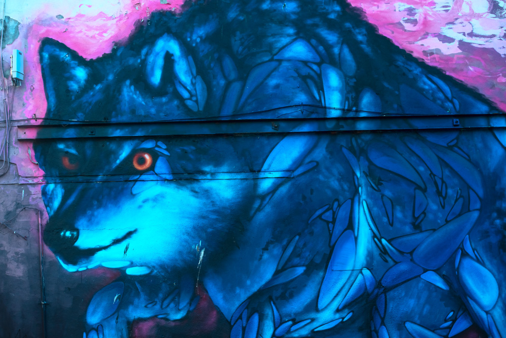 dublin
streetart
graffitti
wolf