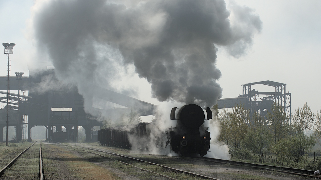 Dubrove 33 504
5036  1