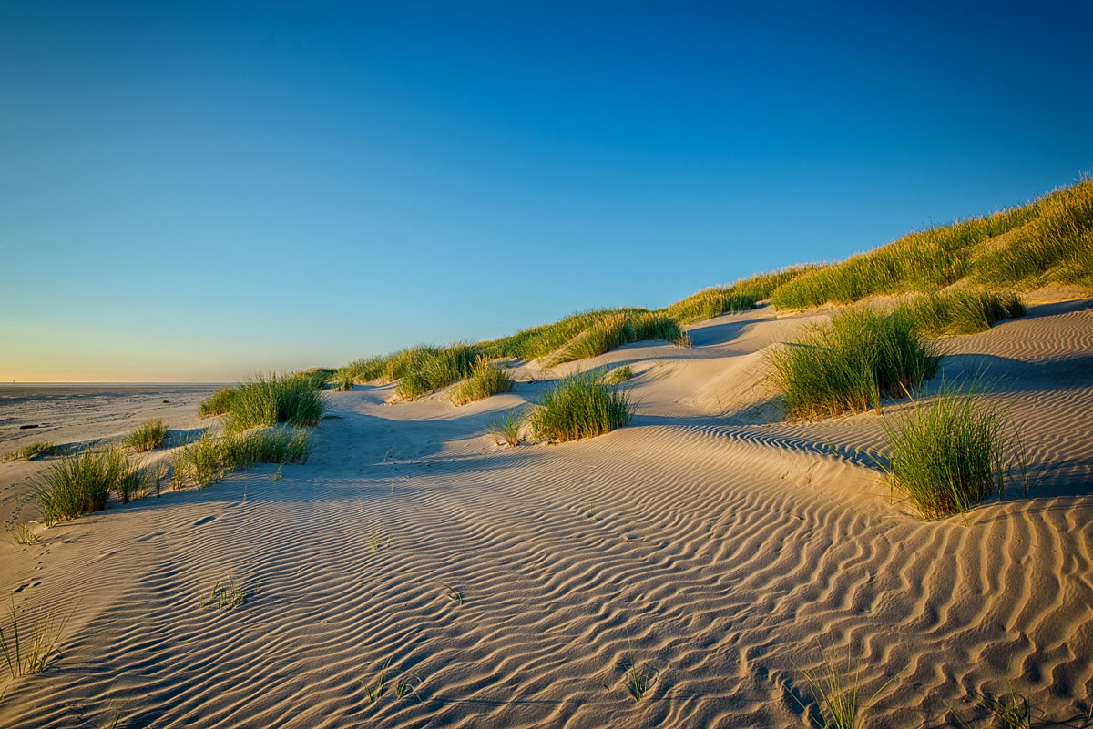 Duenen Wangerooge