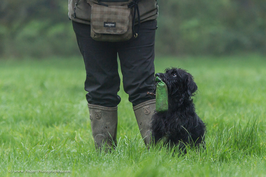 Dummy Training, 18Oct2015