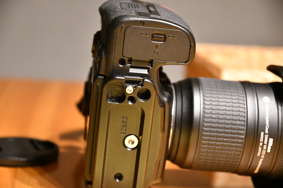 DX5_7146.jpg
