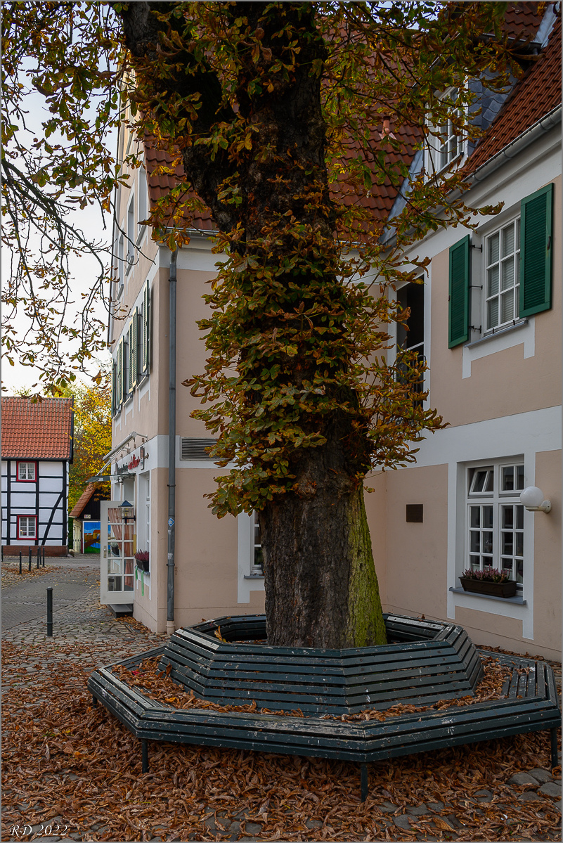 DZ7_0279.jpg
