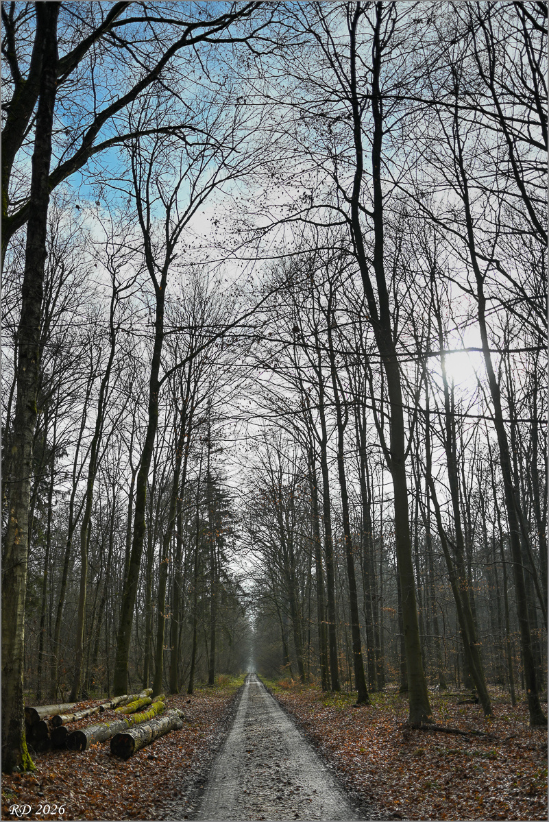 DZ7_0320.jpg